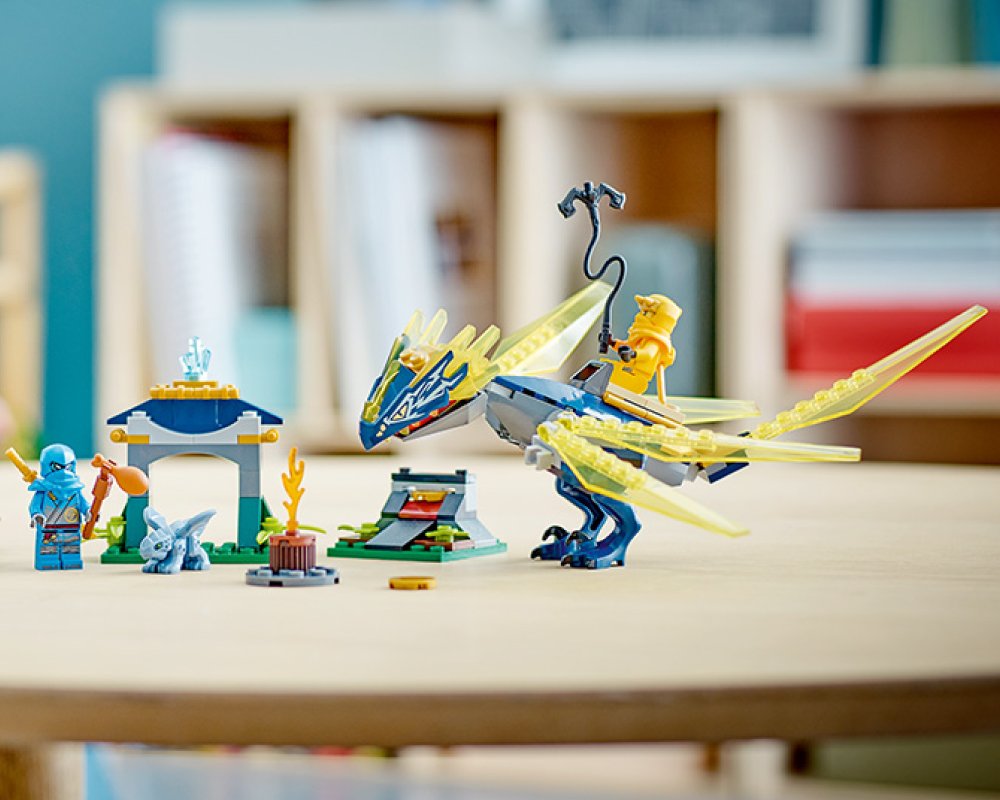 Best Ninja Building Toy for Kids and Collectors